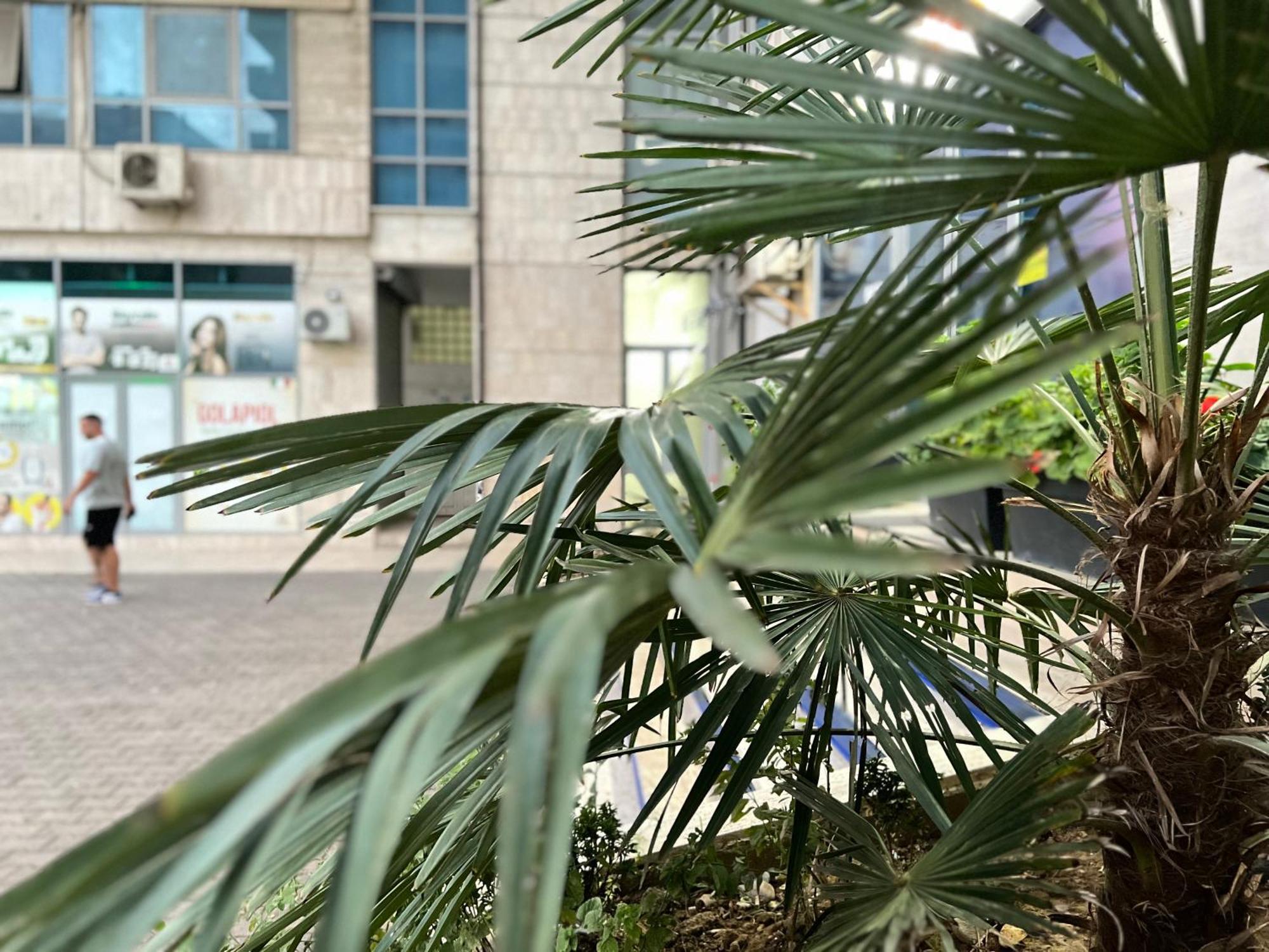 New Baazar Terrace Apartment Tirana Esterno foto